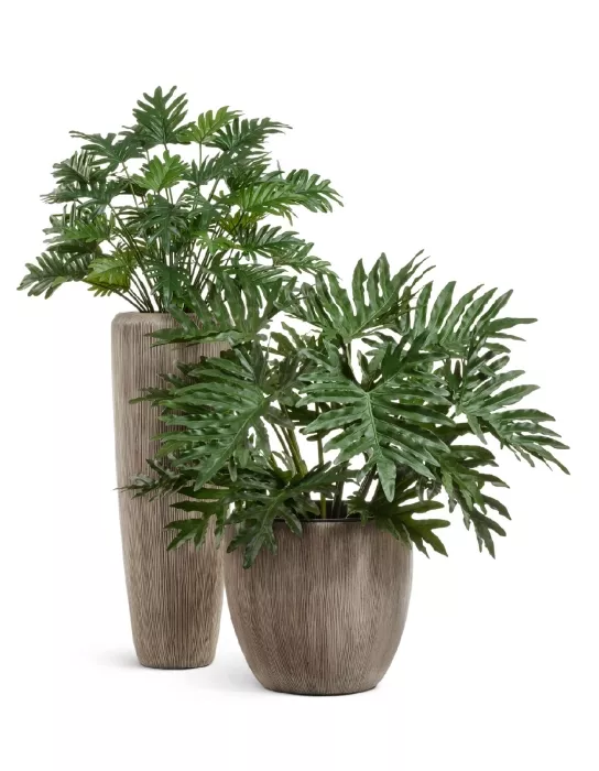 Кашпо TREEZ Effectory, Высокий конус, Капучино