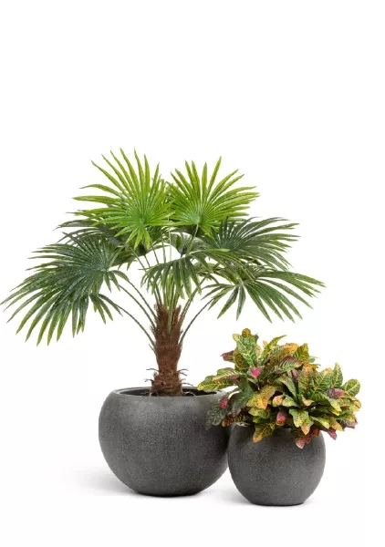 Кашпо TREEZ Effectory, Большая полусфера, Тёмно-серый камень