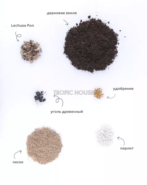 Грунт TROPIC HOUSE для фикусов
