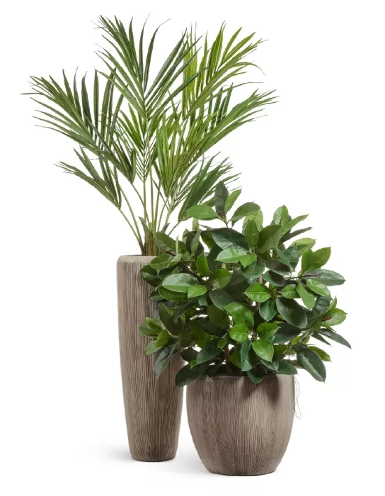 Кашпо TREEZ Effectory, Высокий конус, Капучино