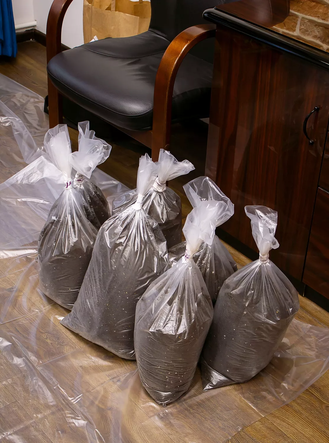 ВЫЕЗДНАЯ ПЕРЕСАДКА РАСТЕНИЙ