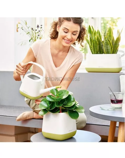 Лейка LECHUZA YULA