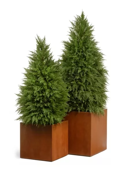 Кашпо TREEZ Effectory, Corten Steel, Куб, Бархатистая окись