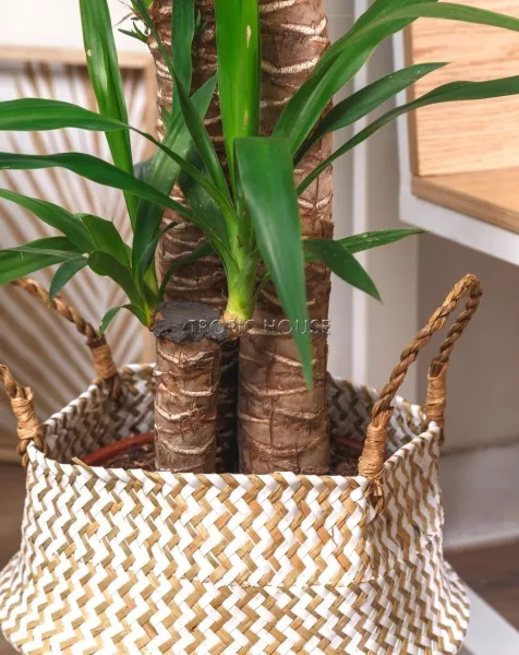 Корзина большая белый зигзаг