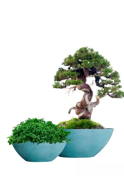 Кашпо CONCRETIKA BONSAY CLOUDY BLUE