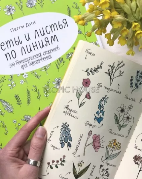 Цветы и листья по линиям