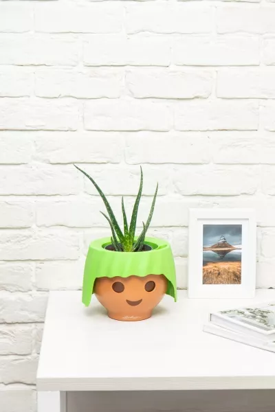 Алоэ Вера в OJO