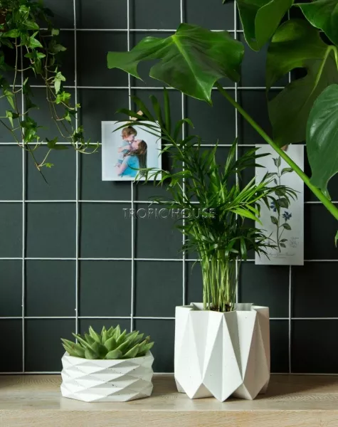 Кашпо Andromeda