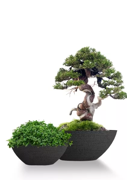 Кашпо CONCRETIKA BONSAY EROSIA BLACK