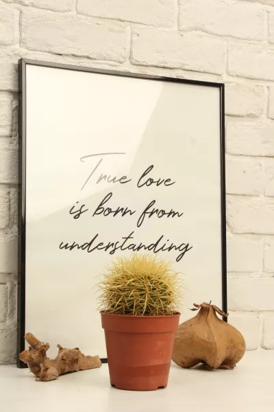 Кактус микс 12 см в CUBE Color 14