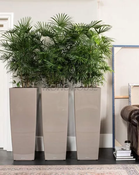 Кашпо LECHUZA CUBICO ALTO 40х105 см