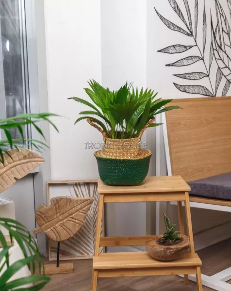 Корзина малая зеленый/крафт