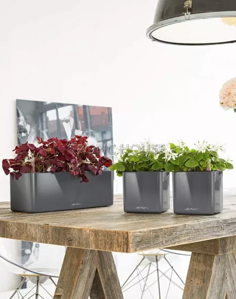 Кашпо LECHUZA CUBE Glossy Triple 14х13.5 см