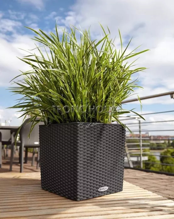 Кашпо LECHUZA CUBE Cottage 30х30 см