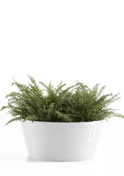 Ecopots FRANKFURT 30,5