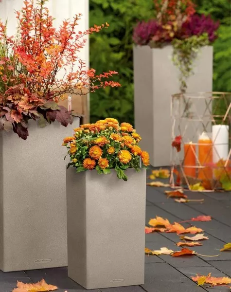 Кашпо LECHUZA CANTO Stone high 30х56 см