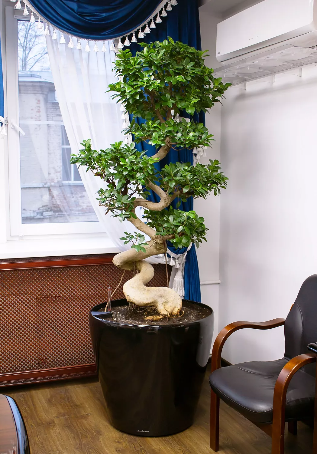 ВЫЕЗДНАЯ ПЕРЕСАДКА РАСТЕНИЙ