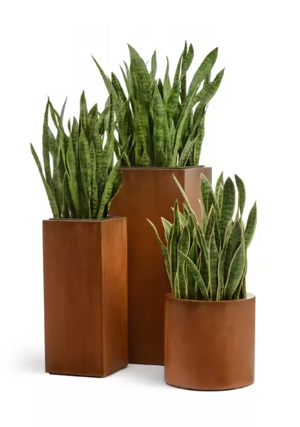 Кашпо TREEZ Effectory, Corten Steel, Цилиндр, Бархатистая окись