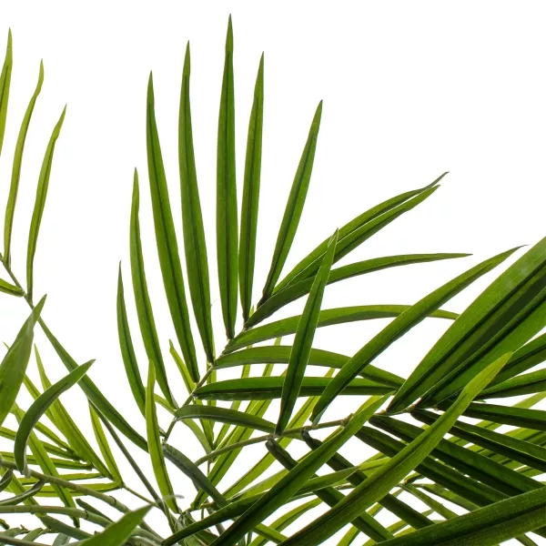 Дерево искусственное в кашпо "Пальма Кентия (Ховея) люкс", Н240 см, 354 листа