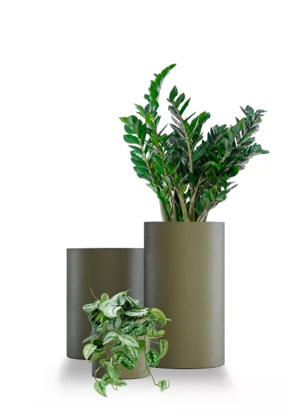 Кашпо CONCRETIKA CYLINDER CLASSIC OLIVA