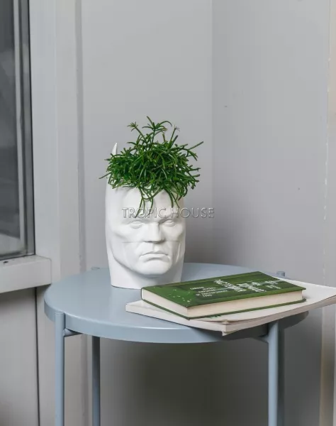 Кашпо для детской Бэтмен