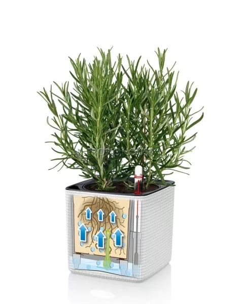 Кашпо LECHUZA ЗЕЛЕНАЯ СТЕНА Home Kit Color 15х14 см