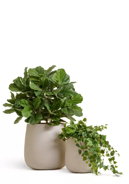 Кашпо TREEZ Effectory, Design-Чаша, Белый песок