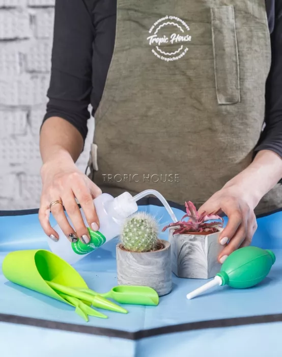 Лейка для полива суккулентов