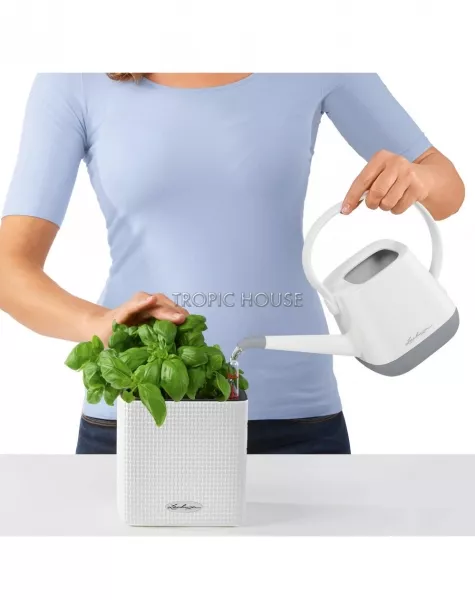 Кашпо LECHUZA ЗЕЛЕНАЯ СТЕНА Home Kit Color 15х14 см