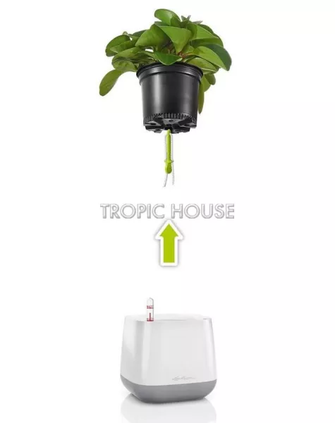 Кашпо LECHUZA YULA 17х15 см