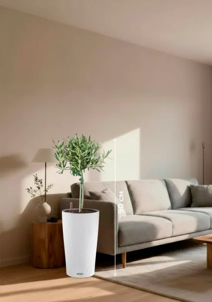 Олива на стволе в CILINDRO 23