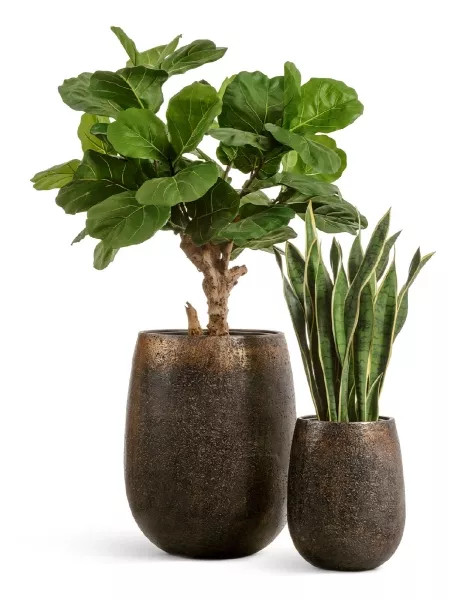 Кашпо TREEZ Effectory, Округлая чаша, Rough с золотой патиной