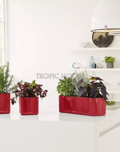 Кашпо LECHUZA CUBE Glossy Triple 14х13.5 см