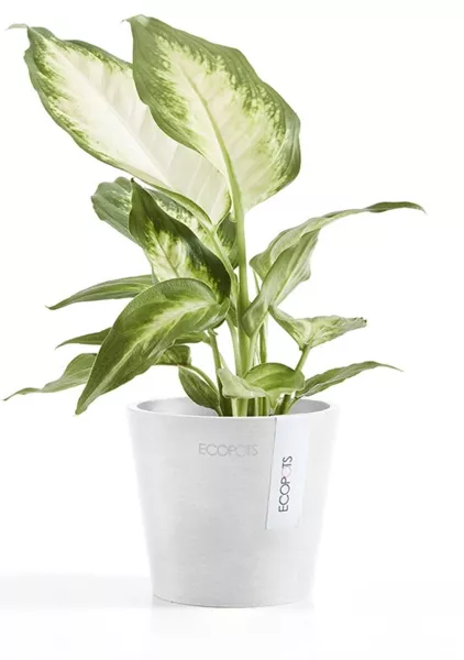 Ecopots Amsterdam Mini 10,5