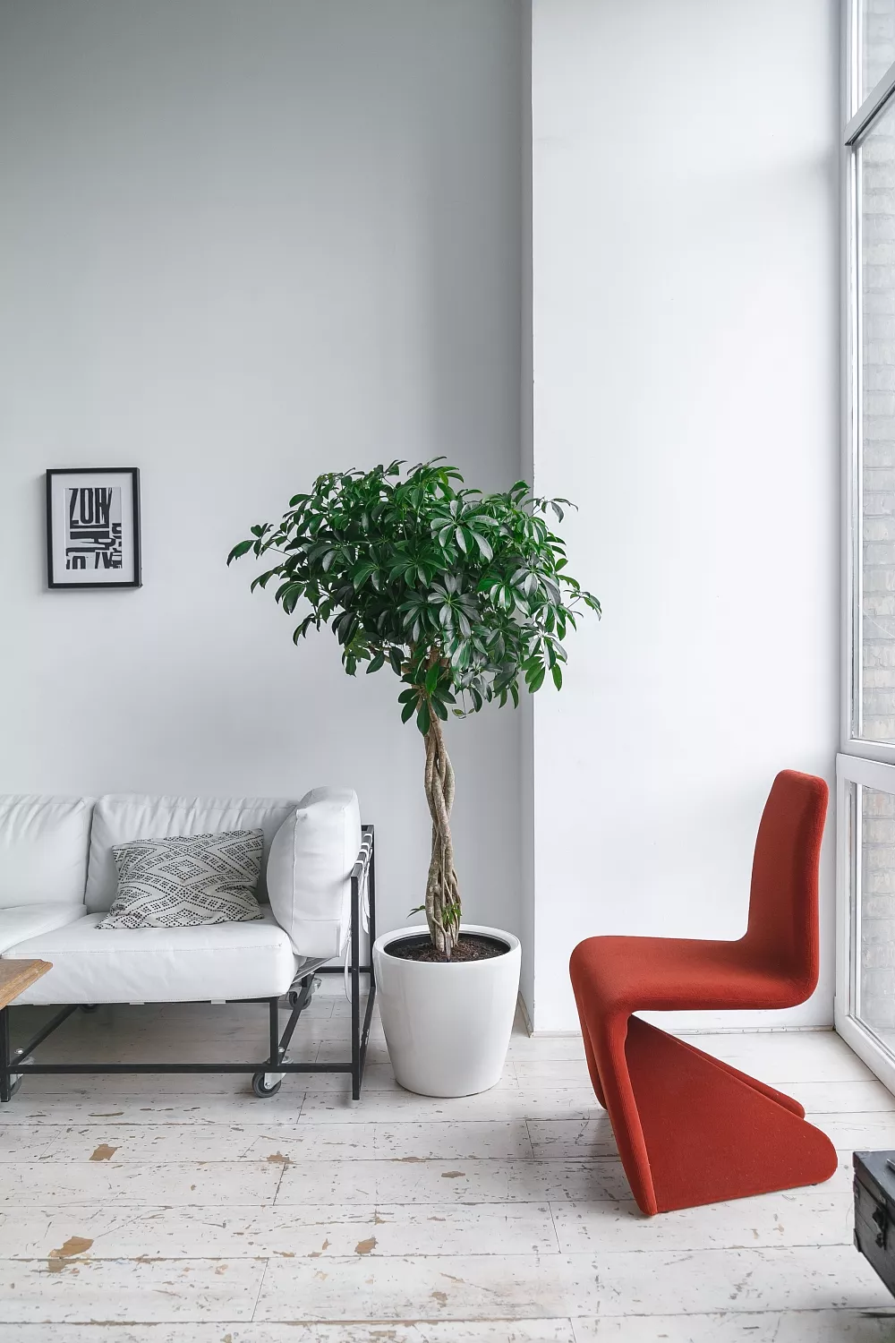 СОЗДАНИЕ ПРОЕКТА ФИТОДИЗАЙНА