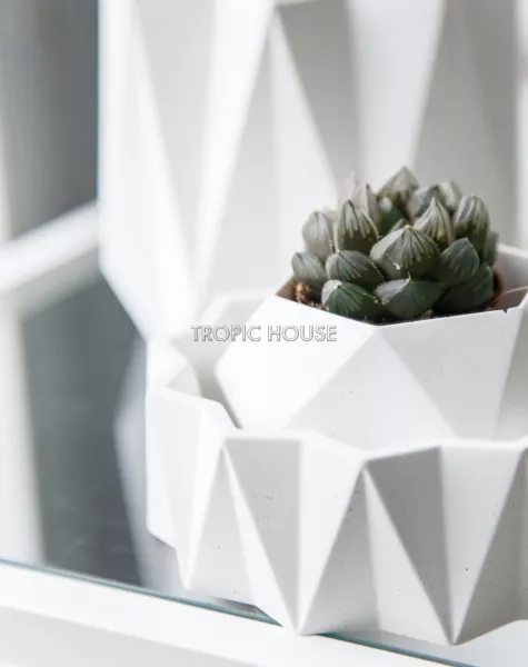 Кашпо Cassiopeia