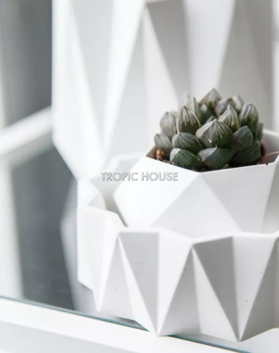 Кашпо Cassiopeia