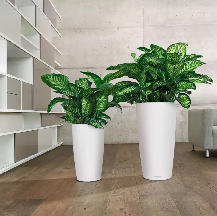 Кашпо LECHUZA RONDO 32х56 см