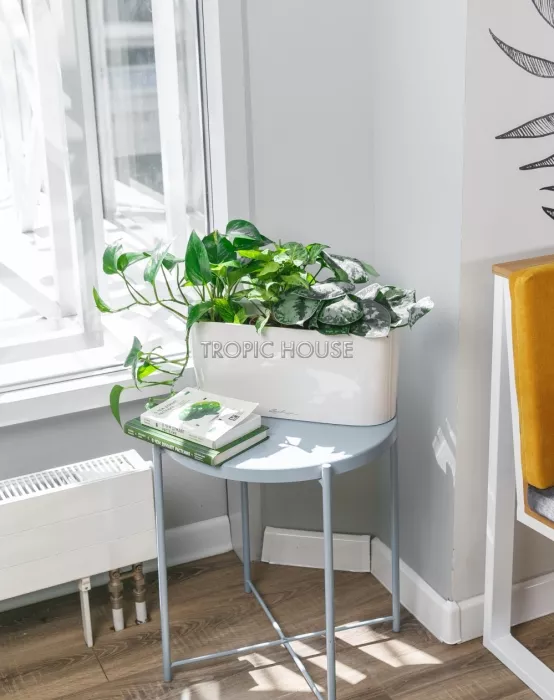 Микс из вьющихся в DELTA 20