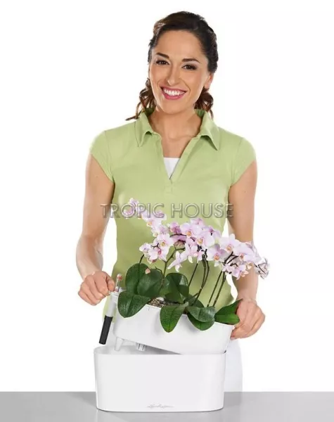 Кашпо LECHUZA DELTA 10х13 см