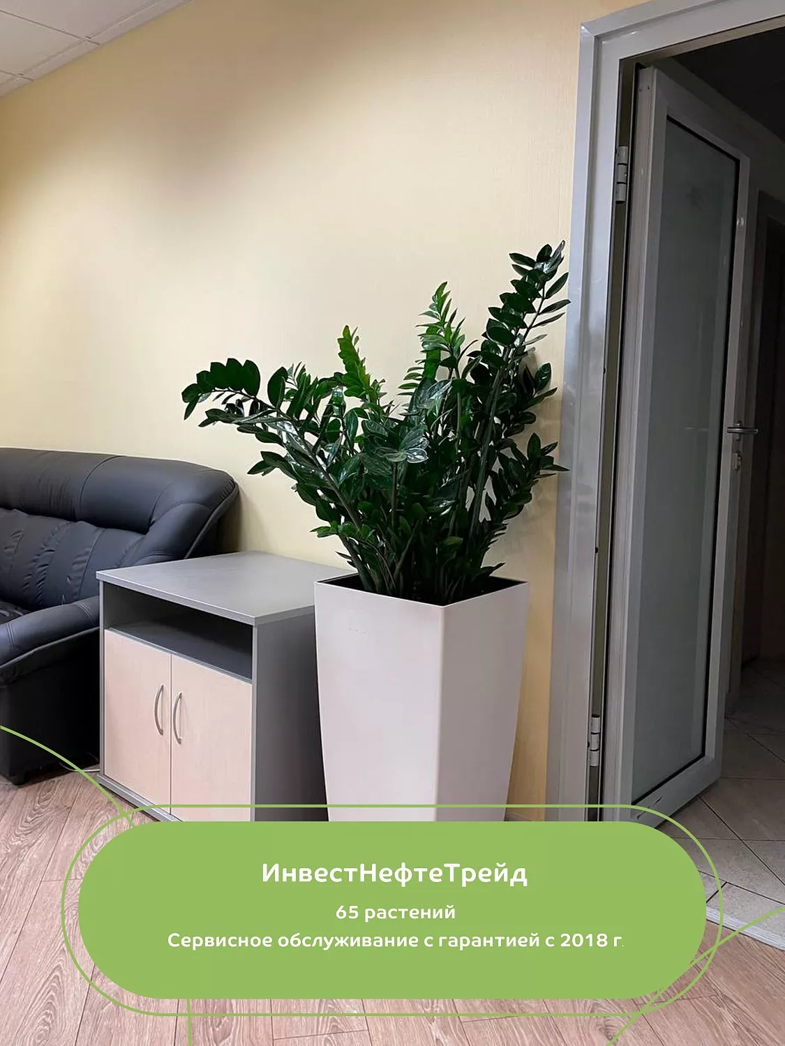 СЕРВИСНЫЙ УХОД ЗА РАСТЕНИЯМИ