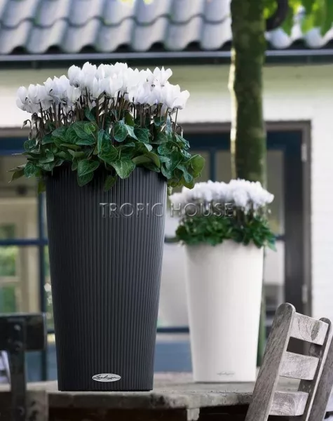 Кашпо LECHUZA CILINDRO Color 23х41