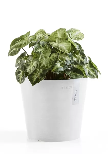 Ecopots Amsterdam Mini 17