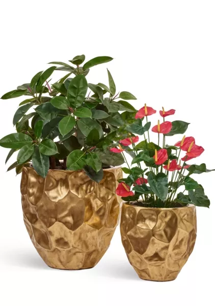 Кашпо TREEZ Effectory, Округлая чаша Design Crumple, Сусальное золото