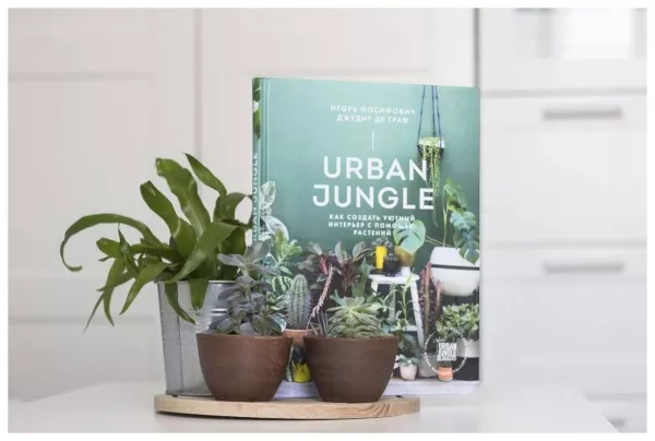 Как создать уютный интерьер с помощью растений Urban Jungle