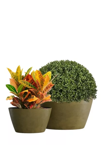 Кашпо CONCRETIKA BOWL AVOCADO GREEN