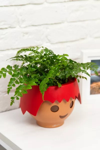 Папоротник Парвати в OJO