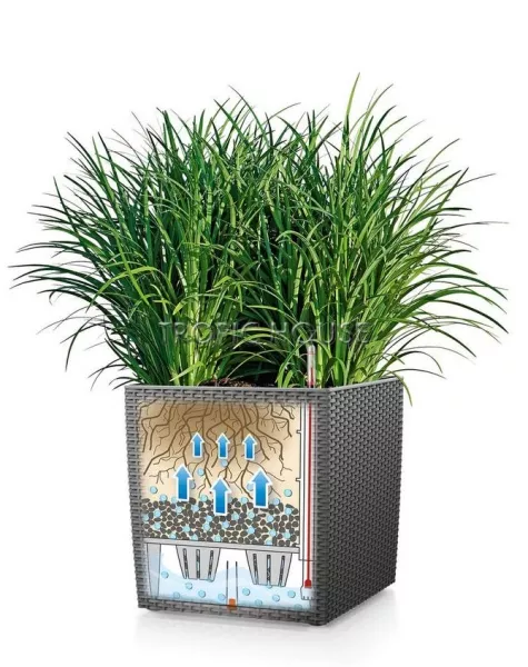 Кашпо LECHUZA CUBE Cottage 30х30 см