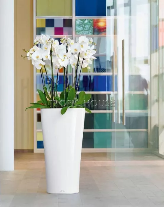 Кашпо LECHUZA DELTA 40х75 см