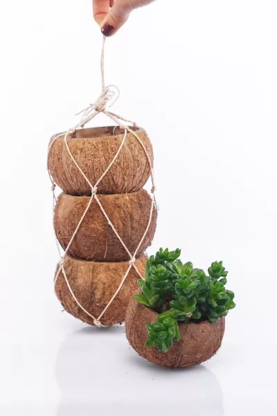 Набор из 3х кашпо "Кокос"